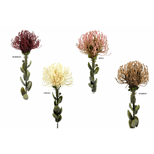 FLOR 713 -62x9 PROTEA-