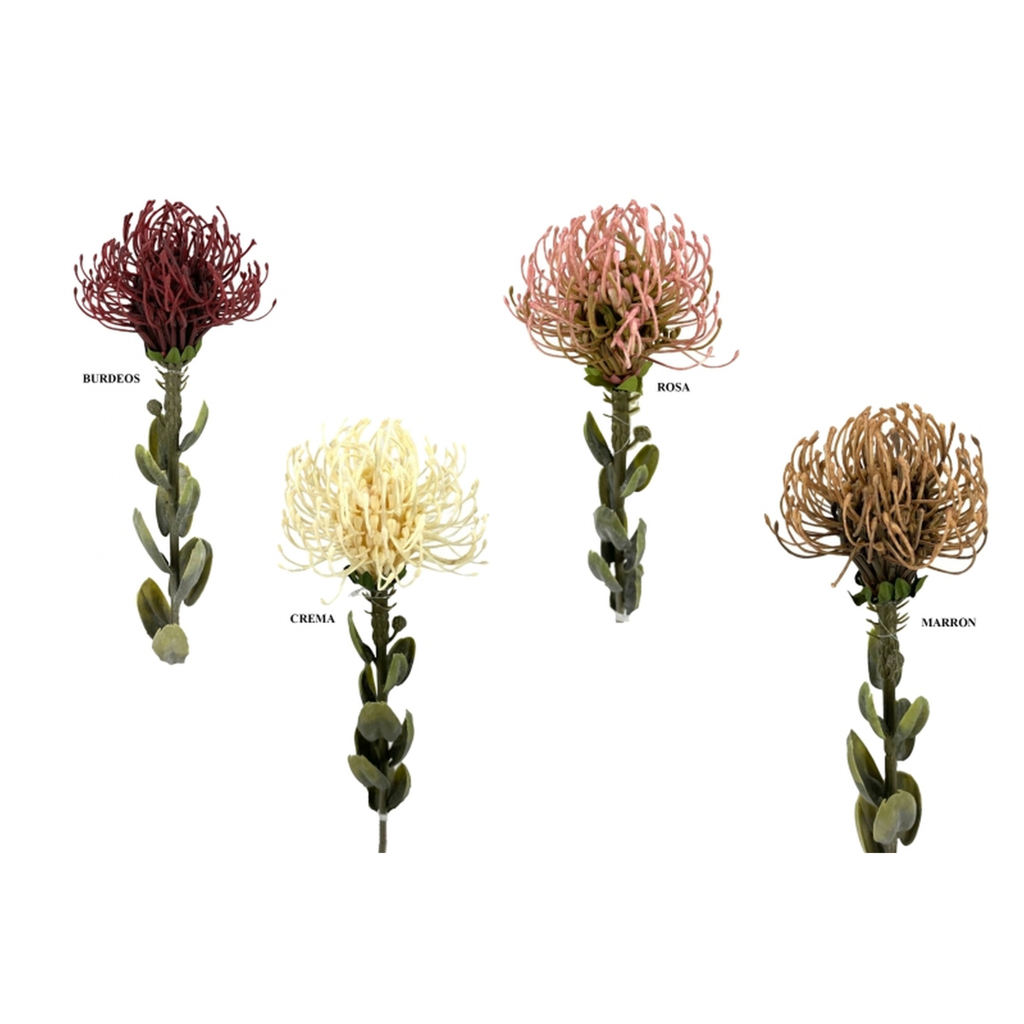 FLOR 713 -62x9 PROTEA-