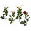 FLOR 740 -62x4 CAPULLO TERCIOPELO-