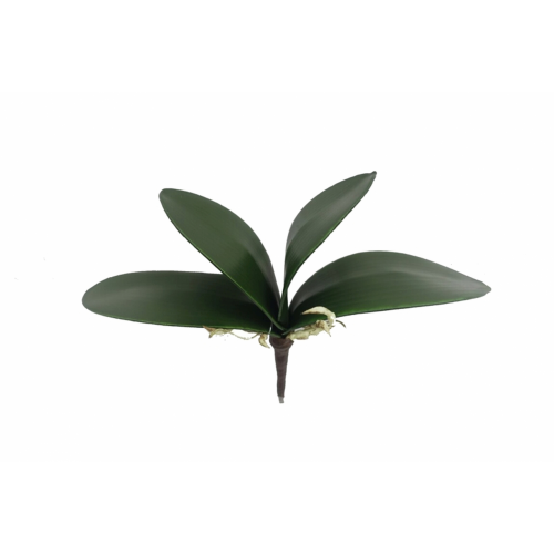 VERDE 5521 -27cms. HOJA ORQUIDEA x4-