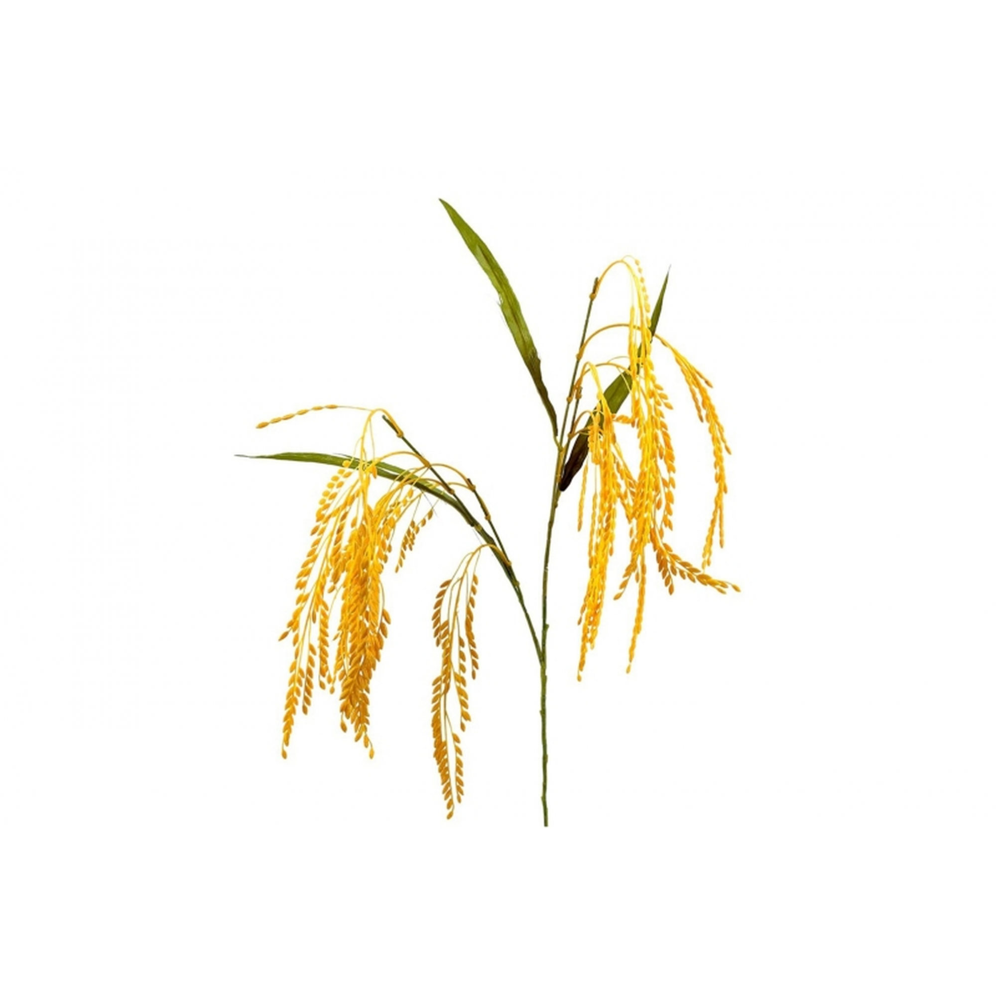 FLOR 7032 -48 cms. TRIGO COLGANTE-