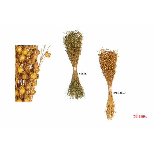 FLOR SECA 454 -50 cms. BOLAS (V-A)-