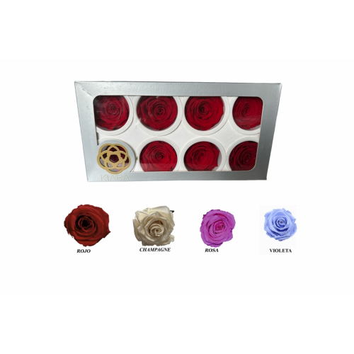 ROSA 8 -5x5 C/8 PRESERVADA-