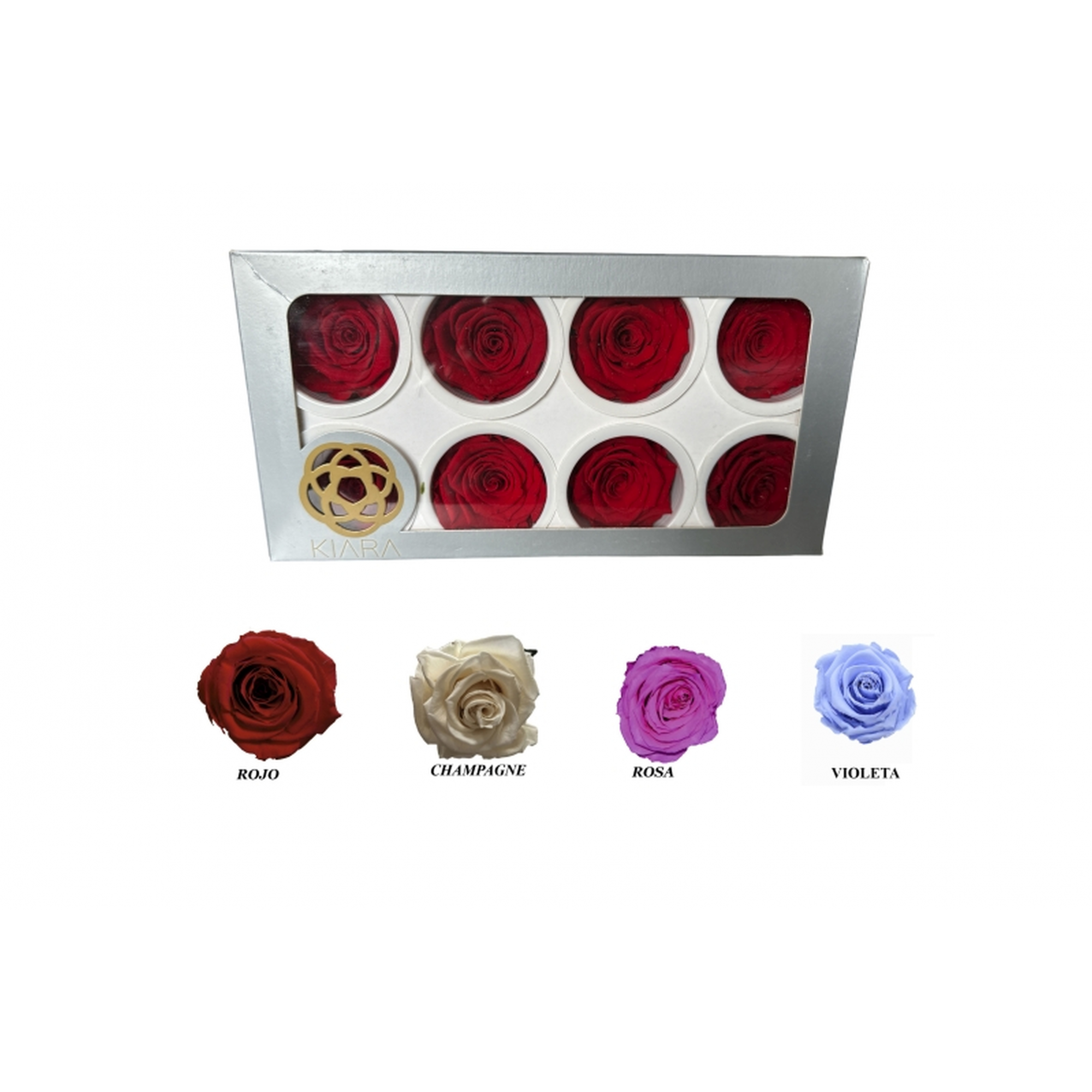 ROSA 8 -5x5 C/8 PRESERVADA-