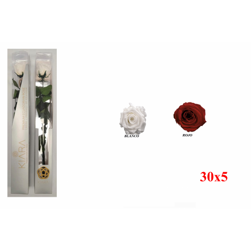 ROSA 30 -30x5 ESTUCHE PRESERVADA-