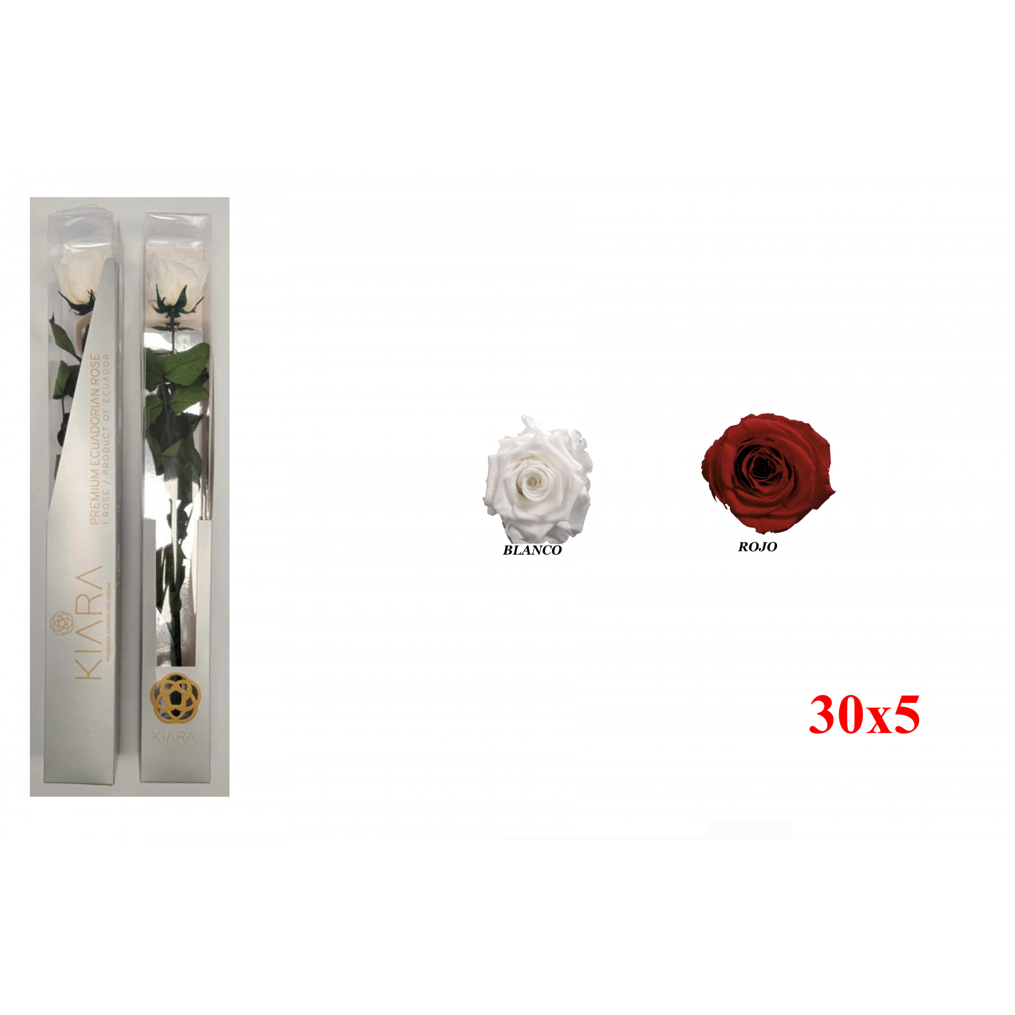 ROSA 30 -30x5 ESTUCHE PRESERVADA-
