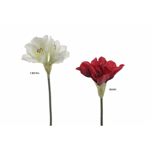 FLOR 2014 -60 cms. AMARYLLIS-