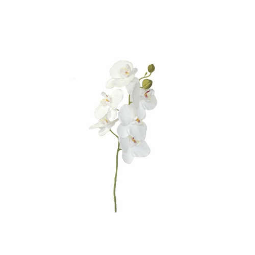 FLOR 3000 -75 cms. PHALENOPSIS-