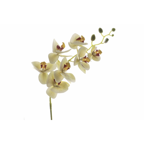 FLOR 3009 -97 cms. ORQUIDEA x9-