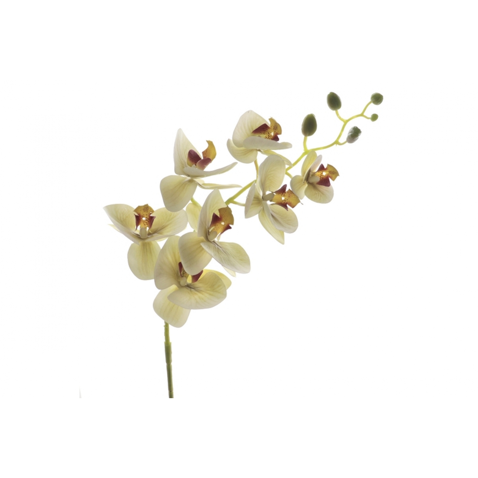 FLOR 3009 -97 cms. ORQUIDEA x9-