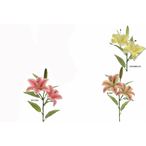 FLOR 3073 -70 cms. LILIUM x3-