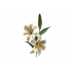 FLOR 3079 -78x20 LILIUM x2-