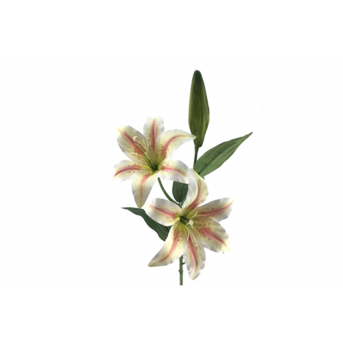 FLOR 3079 -78x20 LILIUM x2-