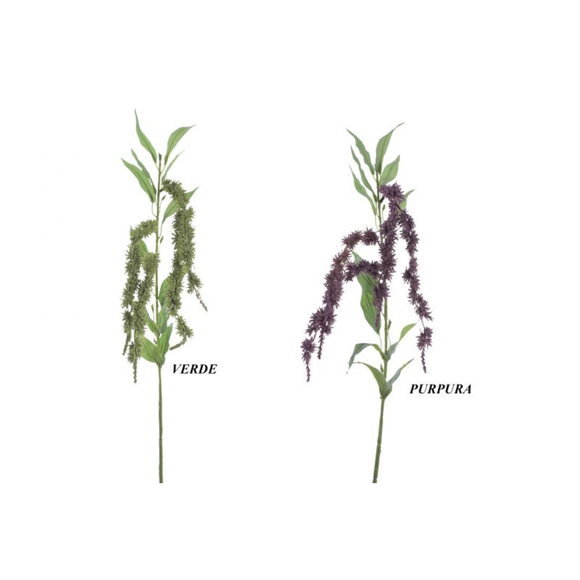 FLOR 4640 -AMARANTHUS-