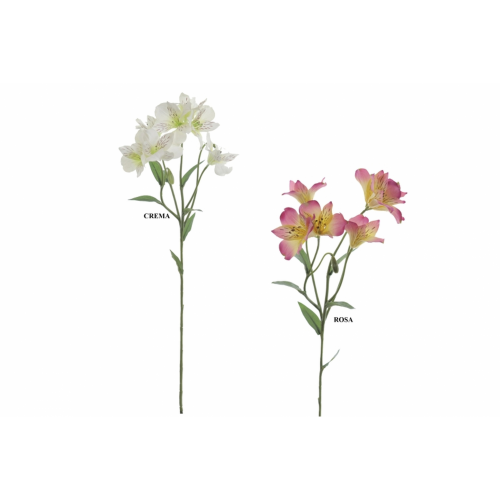 FLOR 4653 - 65 cms. ALSTROEMERIA x5-
