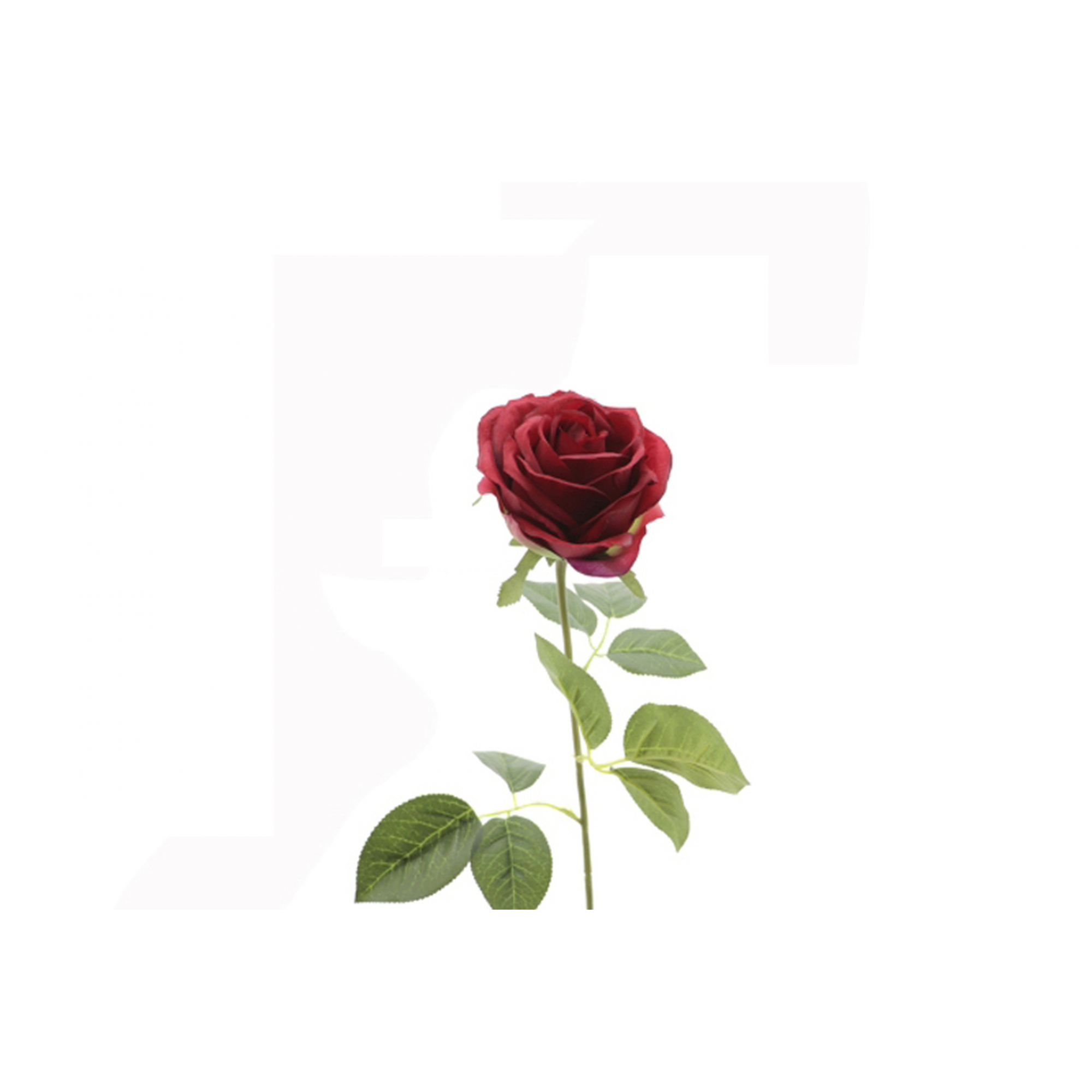 FLOR 5131 -66 cms. ROSA VENDELA-