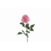 FLOR 5161 -80 cms. (8x8) CAPULLO IMPERIAL-