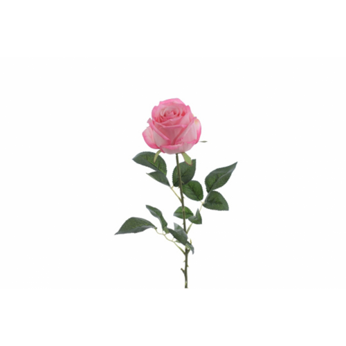 FLOR 5161 -80 cms. (8x8) CAPULLO IMPERIAL-