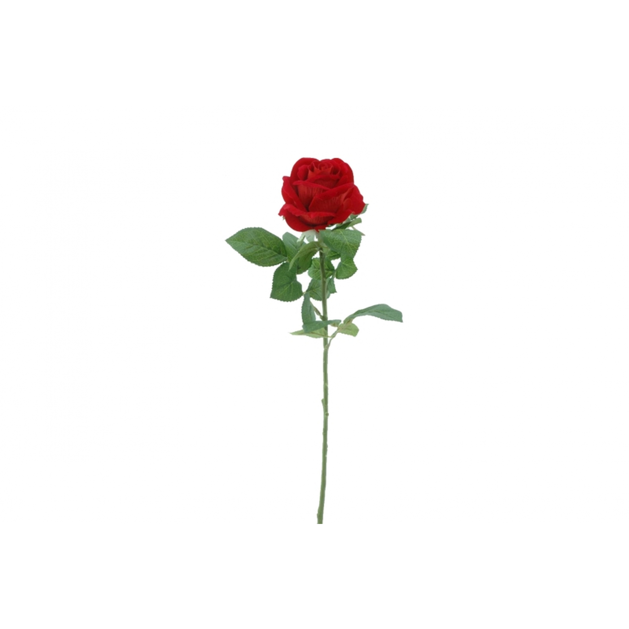 FLOR 6101 -67x9,5 ROSA TERCIOPELO-