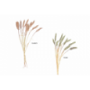 FLOR 7629 -60 cms. ESPIGA SECO x10-