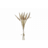 FLOR 7646 -70 cms. MILLET SECO-