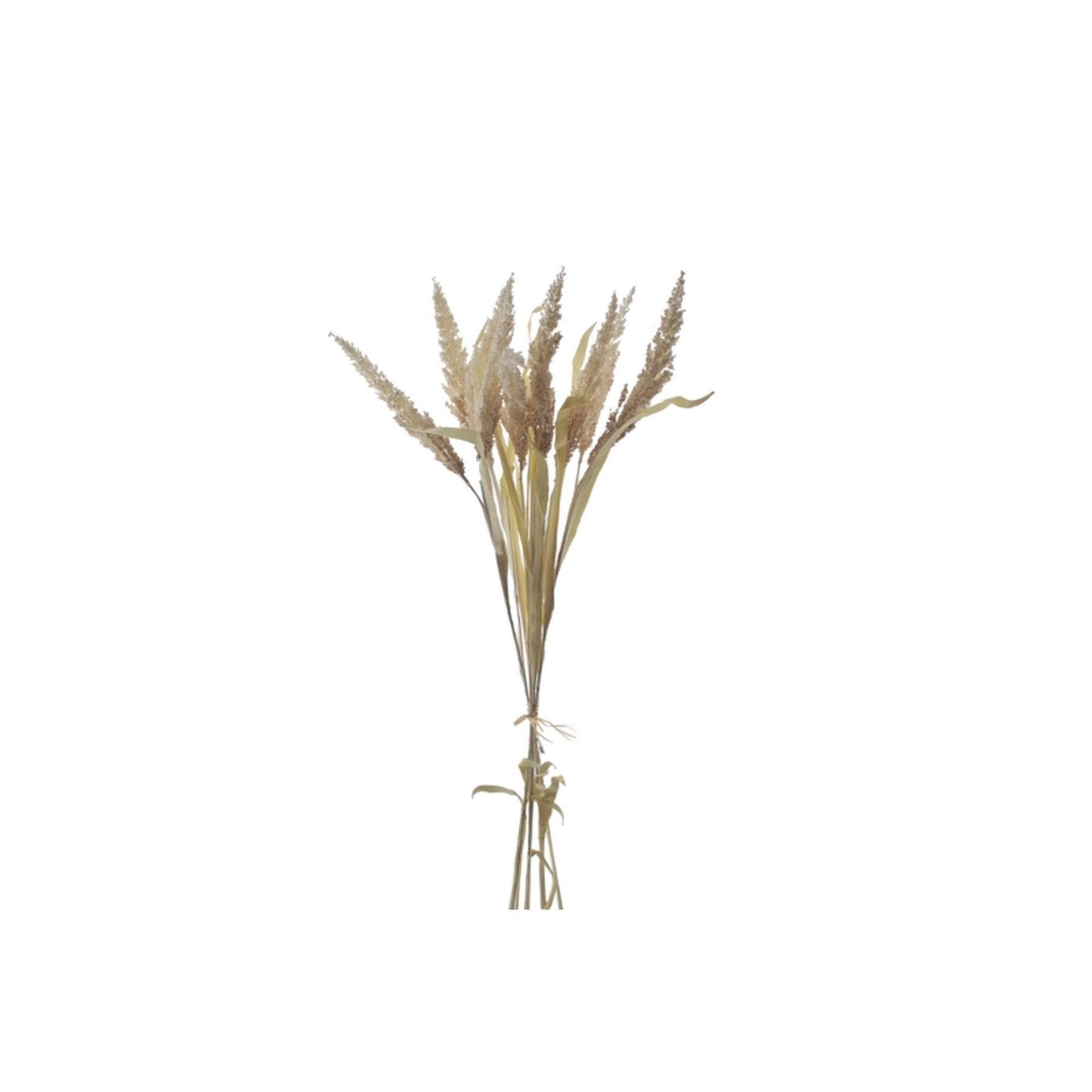 FLOR 7646 -70 cms. MILLET SECO-