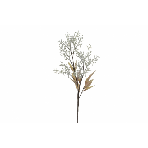 FLOR 7649 -75 cms. LIMONIUM SECO-