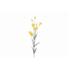 FLOR 2114 -CLAVELINA x3-