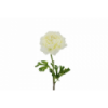 FLOR 2639 -50x10 RANUNCULO-