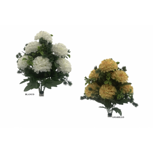 RAMO 7017 -43 cms. MUM x10-