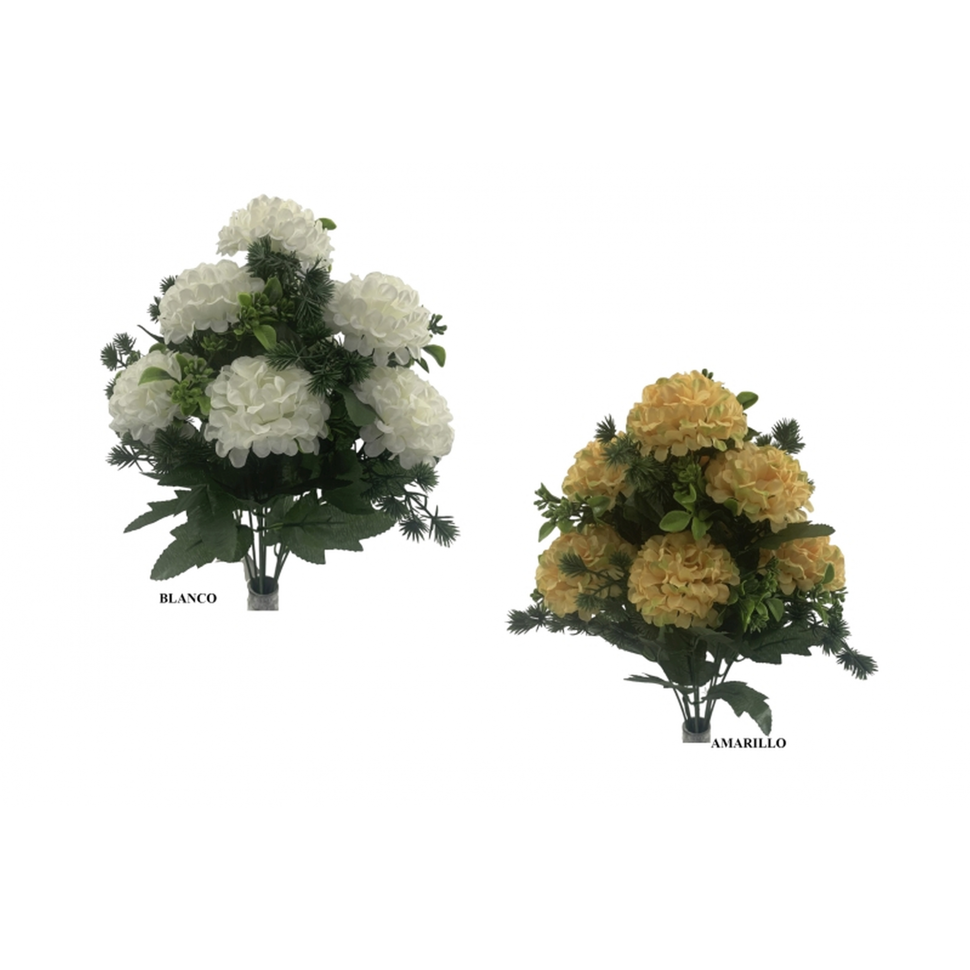 RAMO 7017 -43 cms. MUM x10-