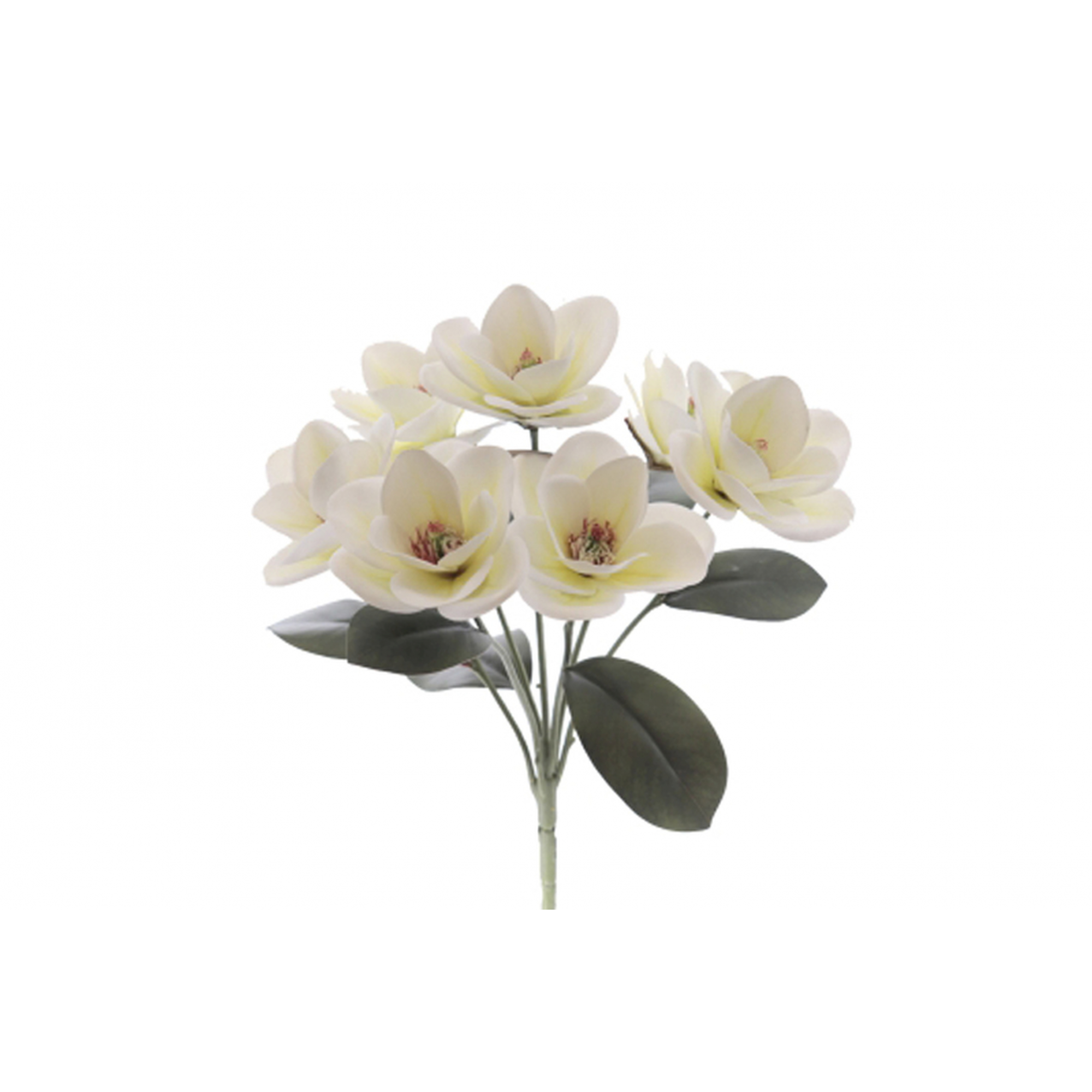 RAMO 5201 -43 cms. MAGNOLIA x7-