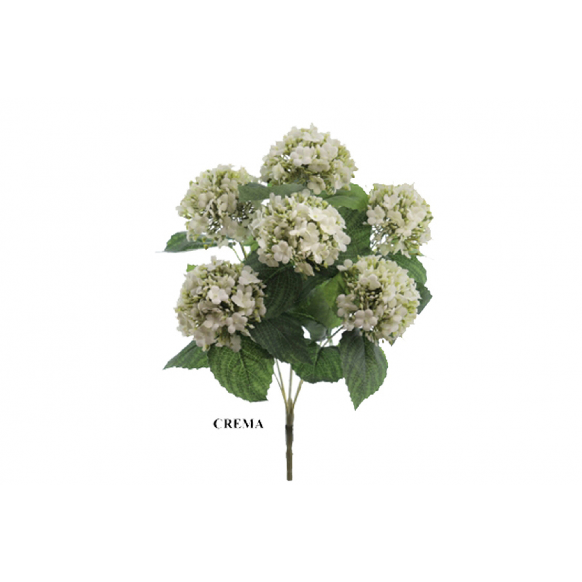 RAMO 9004 -44 cms. VIBURNIUM x7-