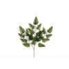 VERDE 404 -60cms. HELECHO x21-