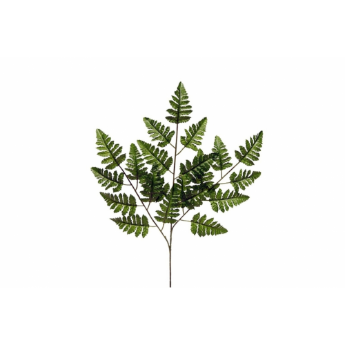 VERDE 404 -60cms. HELECHO x21-
