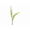 VERDE 602 -48 cms. HOJA HELECHO-
