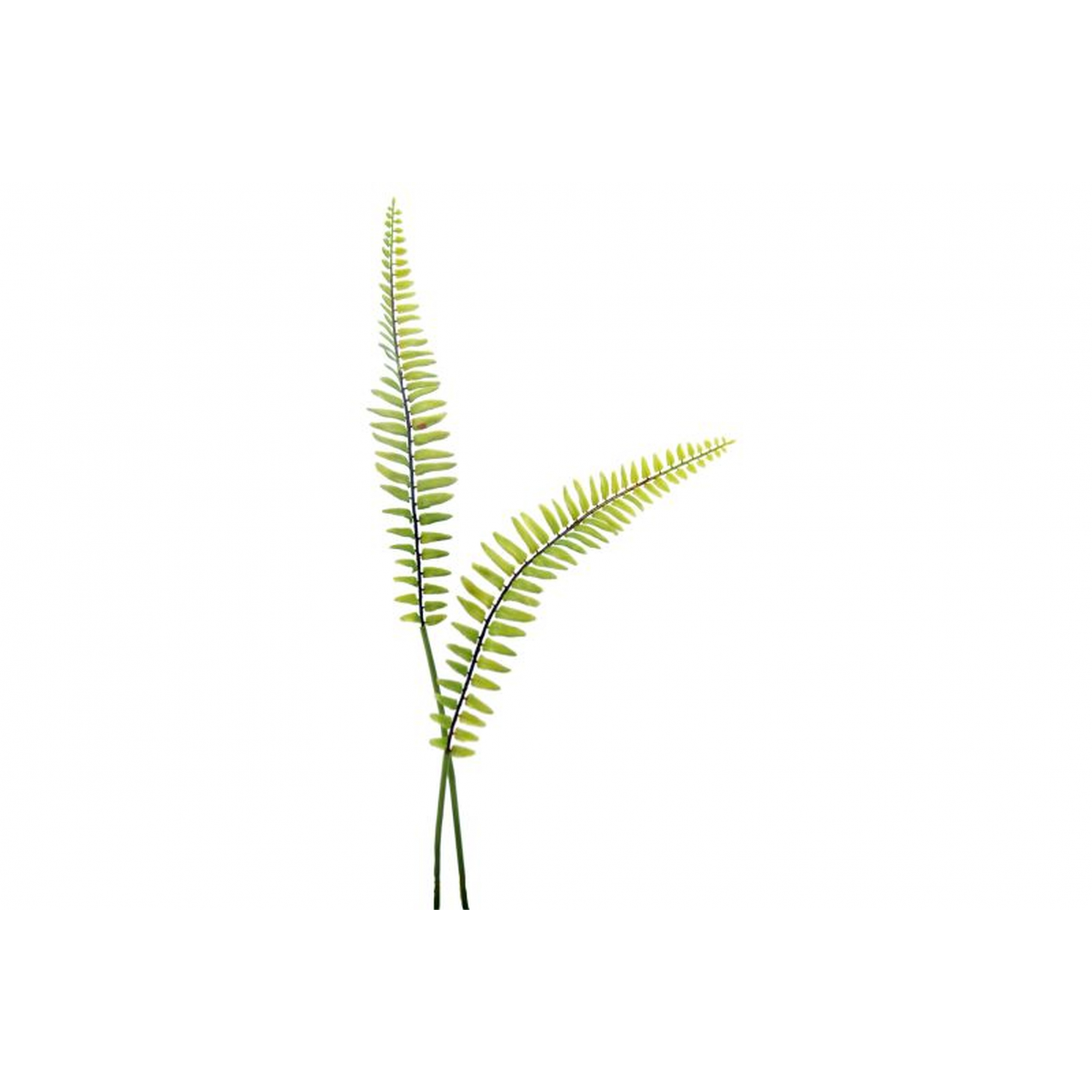 VERDE 602 -48 cms. HOJA HELECHO-