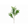 VERDE 692 -78 cms. HOJA ADELFA-