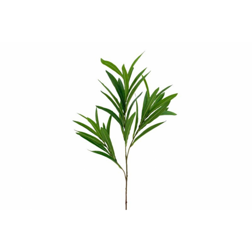 VERDE 692 -78 cms. HOJA ADELFA-