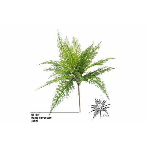 VERDE 5131 - 43 cms. CIPRES x15-