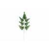 VERDE 6021 -HELECHO x7-