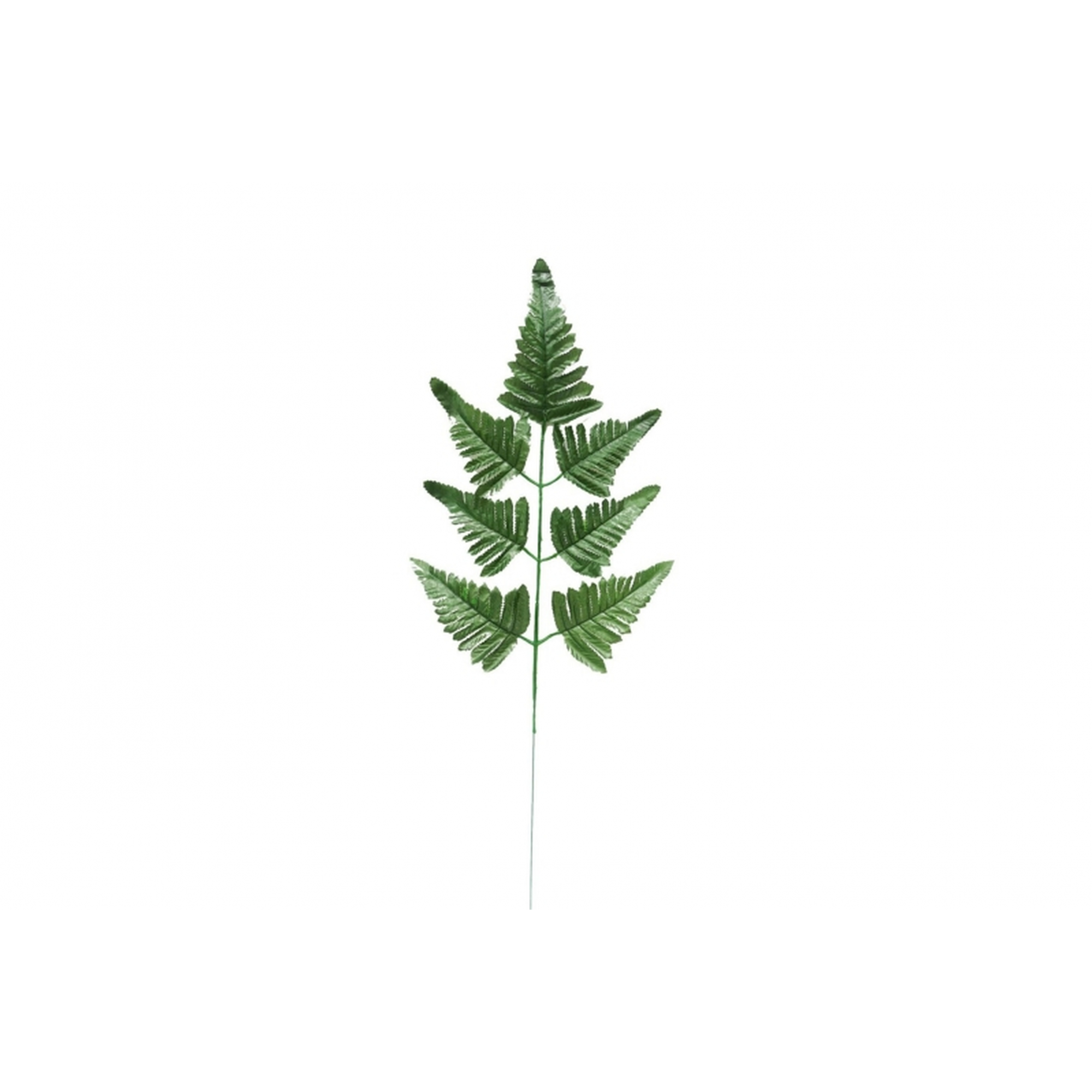 VERDE 6021 -HELECHO x7-