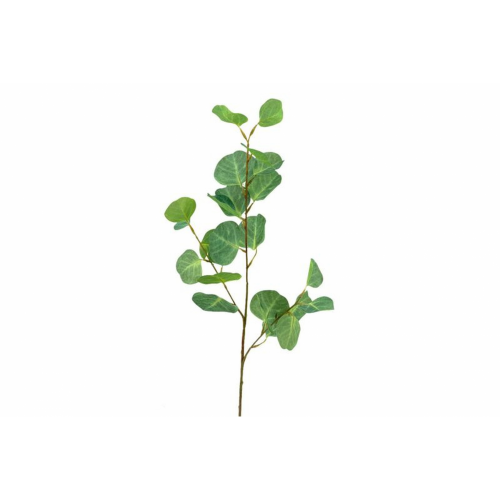 VERDE 6751 -72 cms. EUCALIPTO x3-