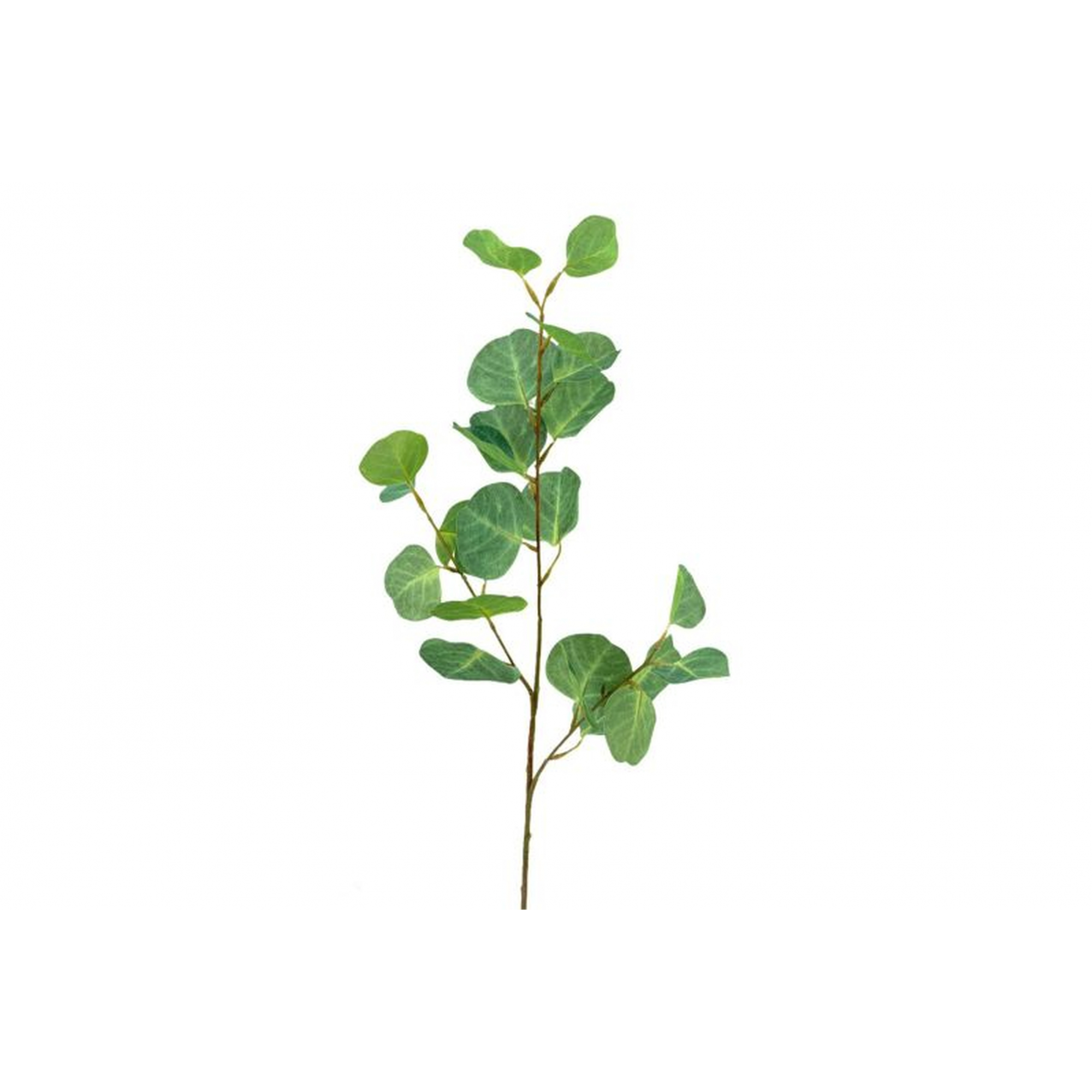 VERDE 6751 -72 cms. EUCALIPTO x3-