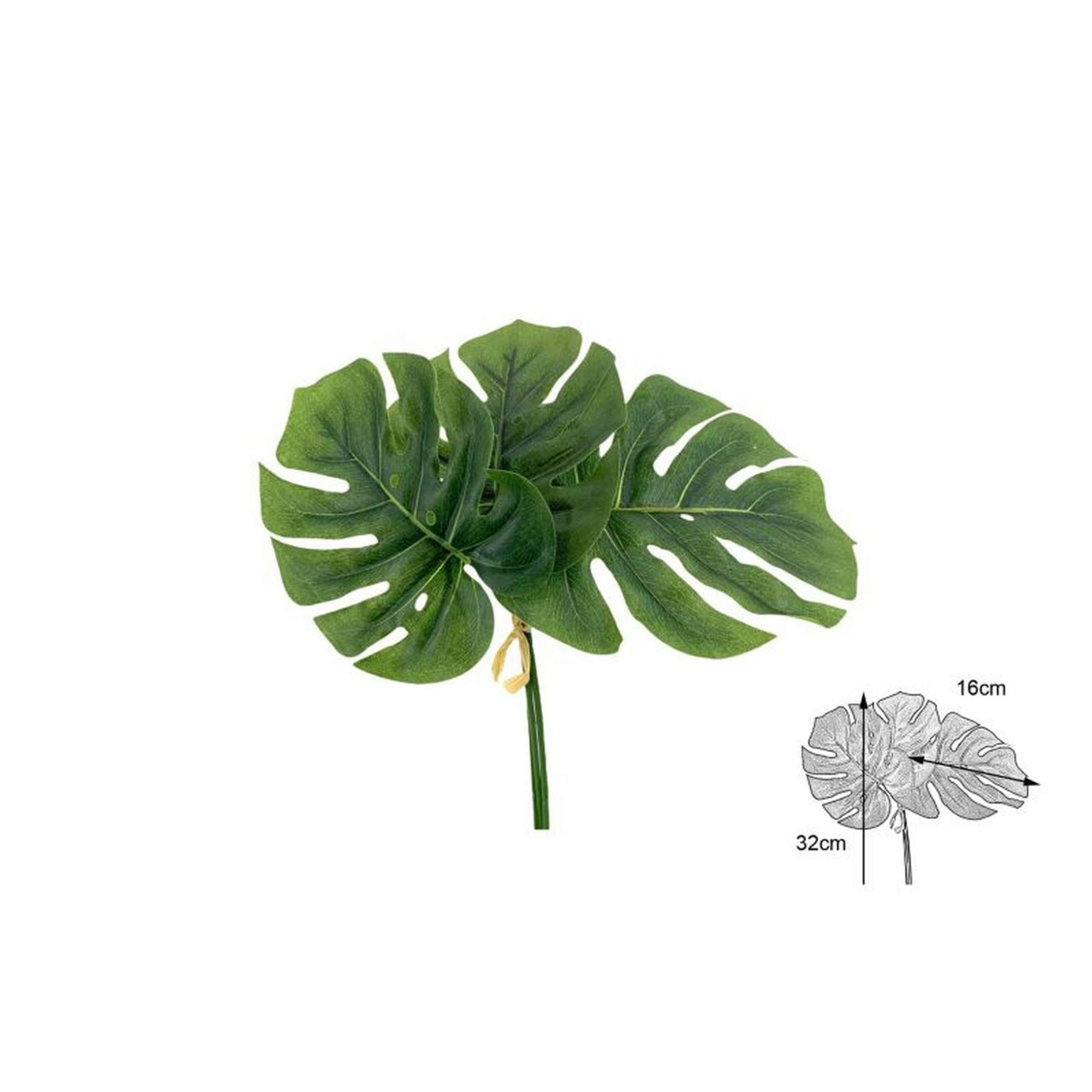 VERDE 6931 -32x16 MONSTERA x3-