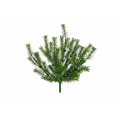 VERDE 7191 -30 cms. ROMERO x7-