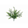 VERDE 7192 -30 cms. EUCALIPTO x7-