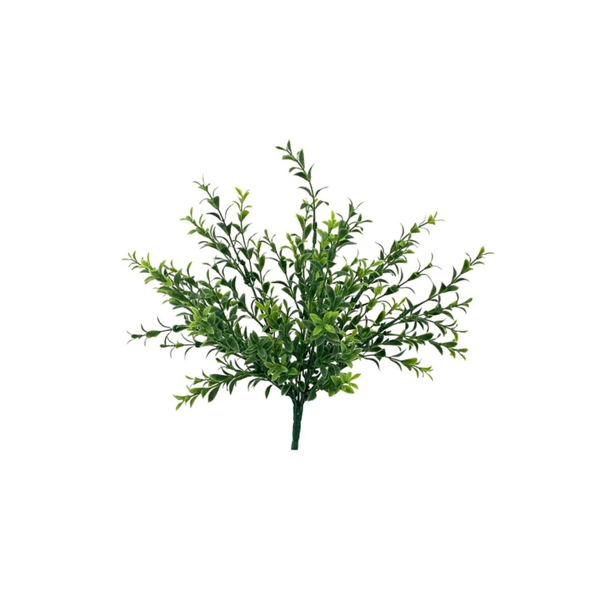 VERDE 7192 -30 cms. EUCALIPTO x7-