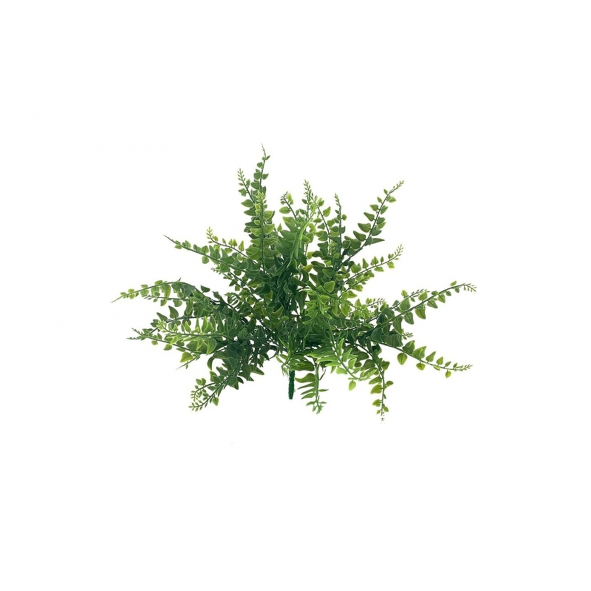 VERDE 7193 -30 cms. HELECHO x7-