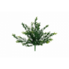 VERDE 7194 -30 cms. EUCALIPTO x7-